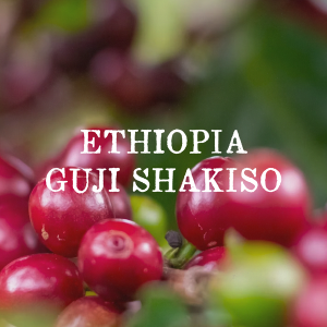 case-study-coffee-roasters Case Study Coffee Roasters Ethiopia Guji Shakiso (Natural) coffee