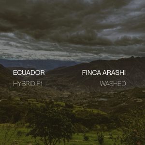 Cloud Catcher Ethiopia Yirgacheffee Aricha Webanchi G1
